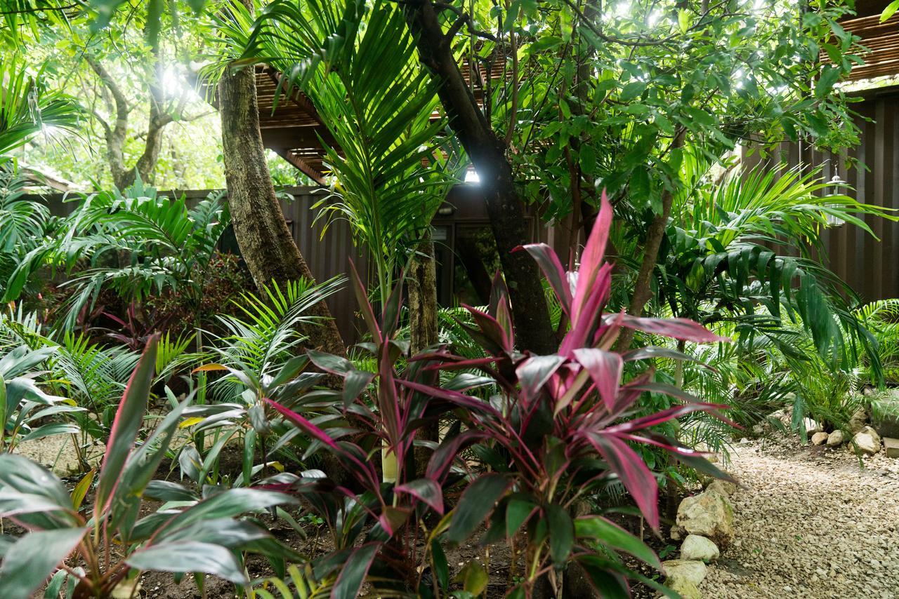 Green Sanctuary Hotel Nosara Exterior foto