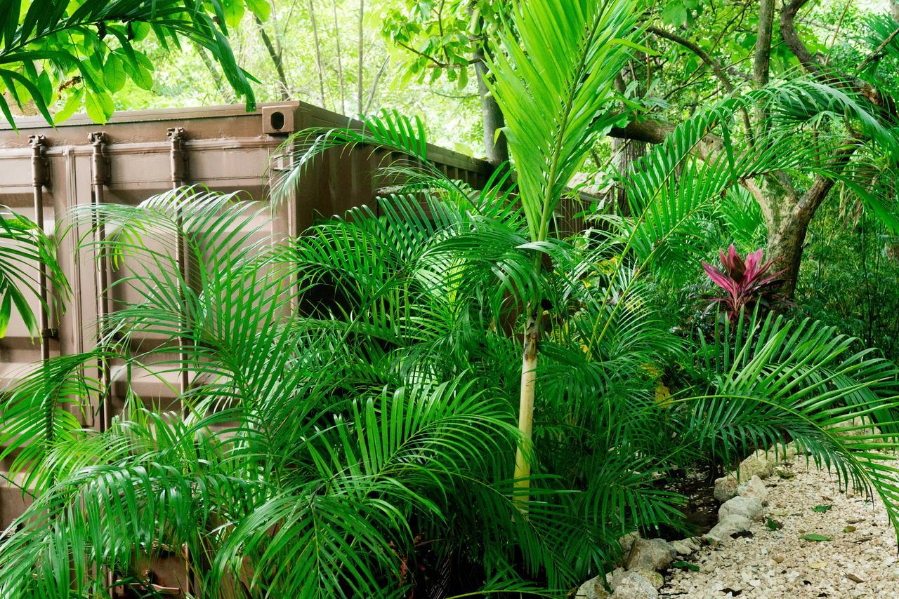 Green Sanctuary Hotel Nosara Exterior foto